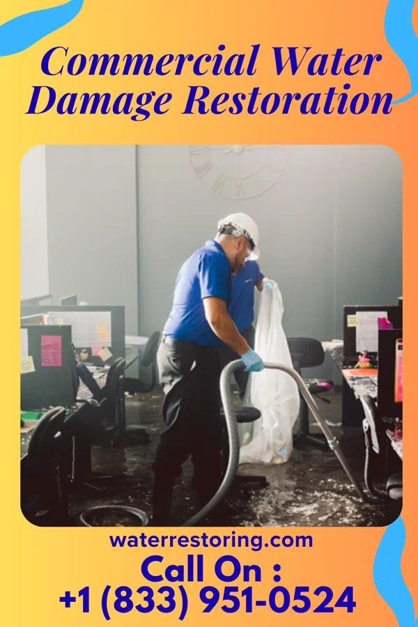 Commercial Water Damage Restoration in Little Falls, MN