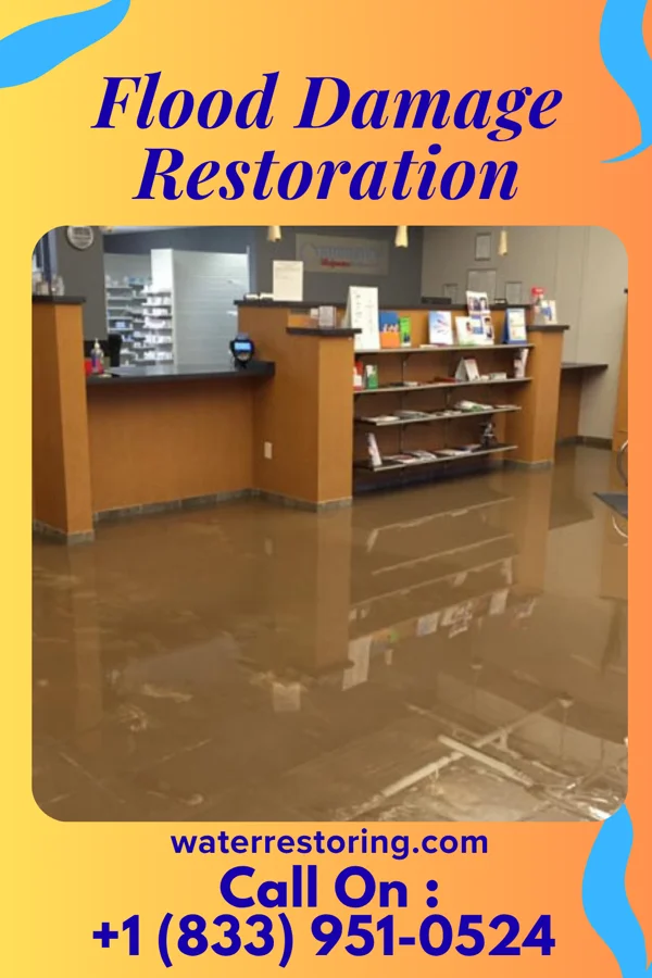 Flood Damage Restoration in Little Falls, MN