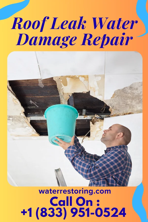 Roof Leak Water Damage Repair in Little Falls, MN