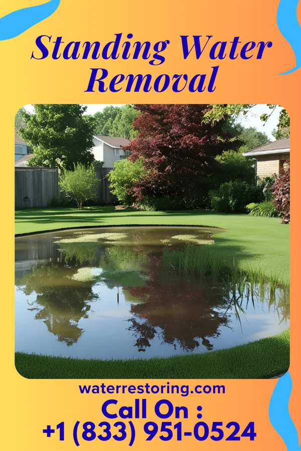 Standing Water Removal in Little Falls, MN